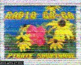 201008270313.jpg
