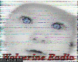 201008280321.jpg