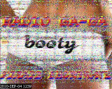201009041239.jpg