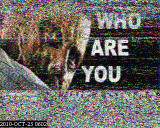 201010250602.jpg