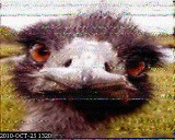 201010251320.jpg