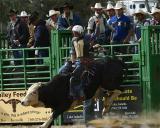 Whiskey Flats Rodeo