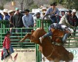 Whiskey Flats Rodeo
