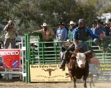 Whiskey Flats Rodeo
