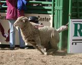 Whiskey Flats Rodeo