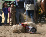 Whiskey Flats Rodeo