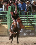 Whiskey Flats Rodeo