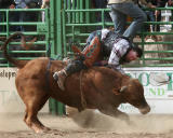 Whiskey Flats Rodeo
