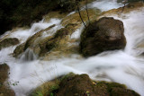IMG_0474_web1.jpg