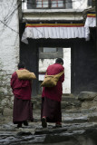 Monks in Tashilhunpo