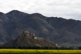 Zdong