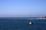 IMG_8642_adj.jpg