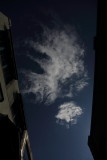 7T0A0730.JPG