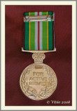 ADF Active Service Medal (B)