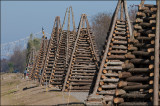 Christmas Bonfires in Lutcher, Louisiana