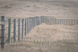 fenceline