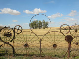 Framed Trees