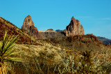 MULE EAR MOUNTAIN VIEW 2