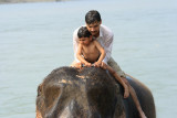 Elephant washing