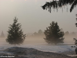 Winters mist