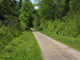 The K&P trail, south from Lavant Station