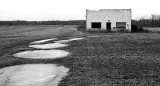 White Building