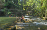 swimming hole wfp falls 113.jpg