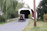 Covered Bridge & Amish Family