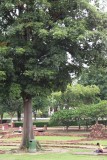 PICT8467.JPG