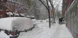 Assorted NYC