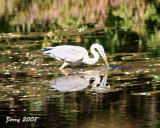 IMG_1934.jpg