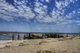 IMG_5324_3_2.jpg