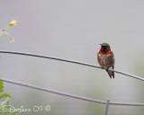 IMG_6312w.jpg