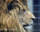 IMG_6519b.jpg