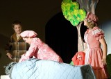 Into the Woods 229.jpg