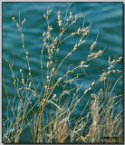 A circle thru the Sand Hills ... 