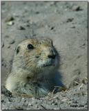 A circle thru the Sand Hills ... 