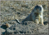 A circle thru the Sand Hills ... 