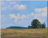 The Black Hills ... 