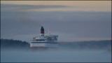 Cruise ship in fog 101102