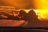 After the storm