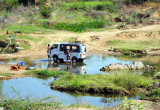 Washing the Elephant..., Sorry the Car...!