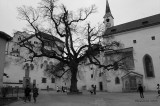 Austria. Salzburg. Hohensalzburg Fortress