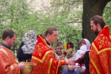 DSC_3062.JPG