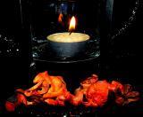 Reflections of Fire by Judi