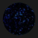 Blue Bubbles by Sinnettc