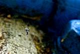 Into the deep