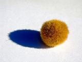 Zen fuzz by Ron LaCroix