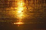 Sunset - Coucher de soleil - Lac de Saint-Point