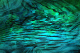 somewhere 14
